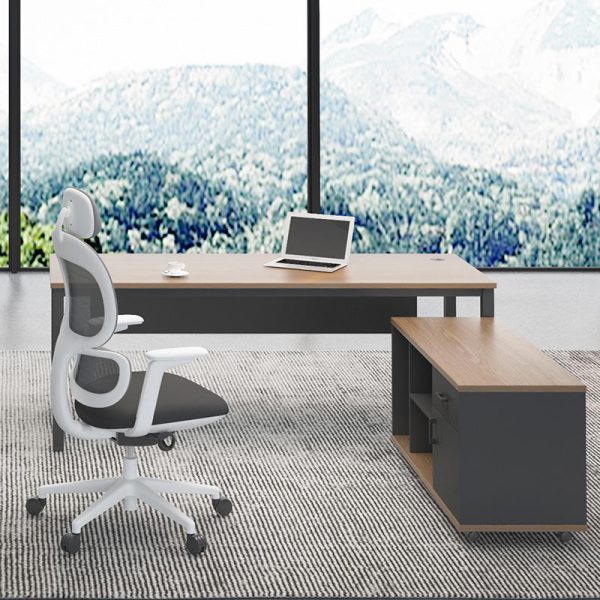 Bàn lãnh đạo chân độc lập BS14