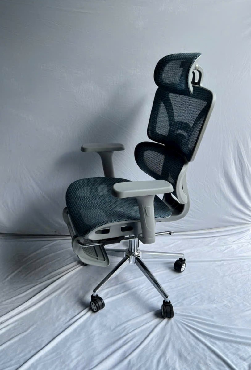 Ghế công thái học TP40