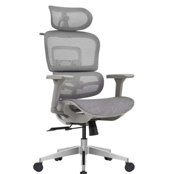 Ghế công thái học TP59