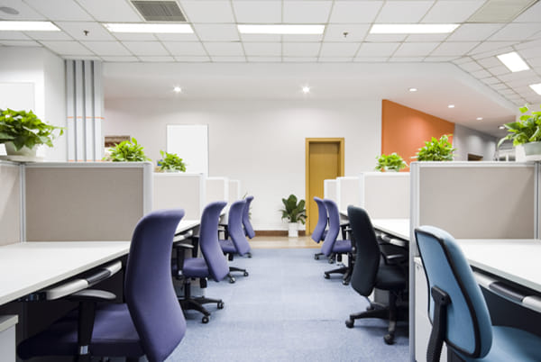 Để nhân viên tiếp xúc với càng nhiều ánh sáng tự nhiên càng tốt