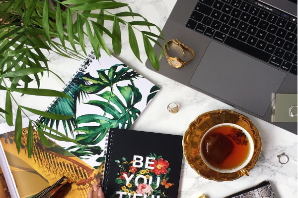 Thêm một chậu cây trang trí