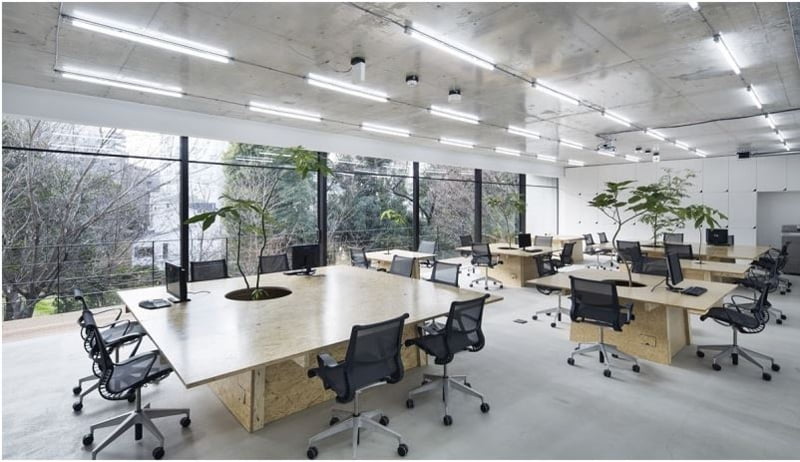 Thiết kế tận dụng tối đa ánh sáng