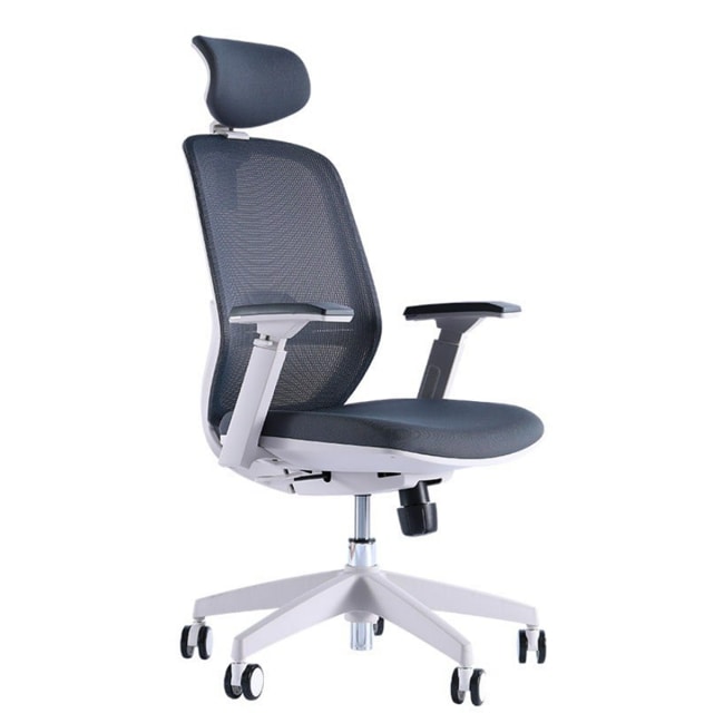 ghế công thái học