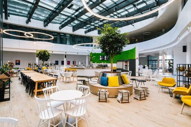 sử dụng màu sắc và ánh sáng phù hợp