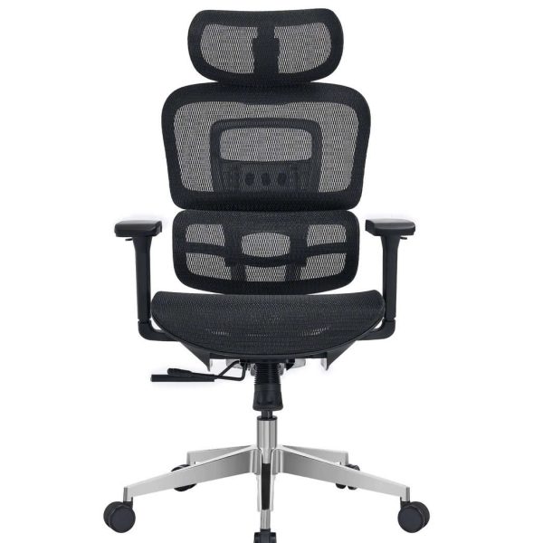 Ghế công thái học TP72
