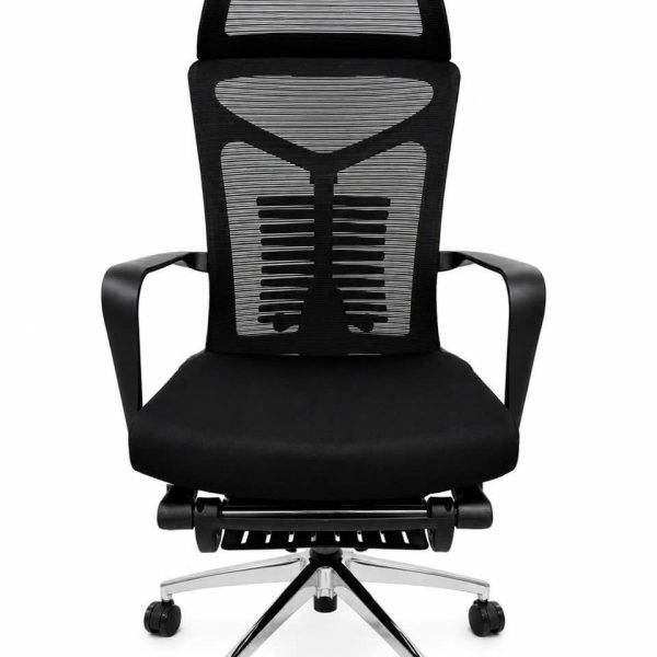 Ghế công thái học R02