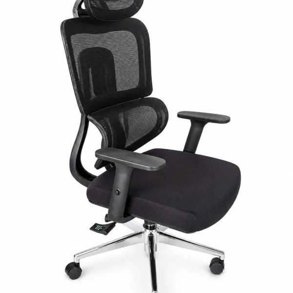 Ghế công thái học R03