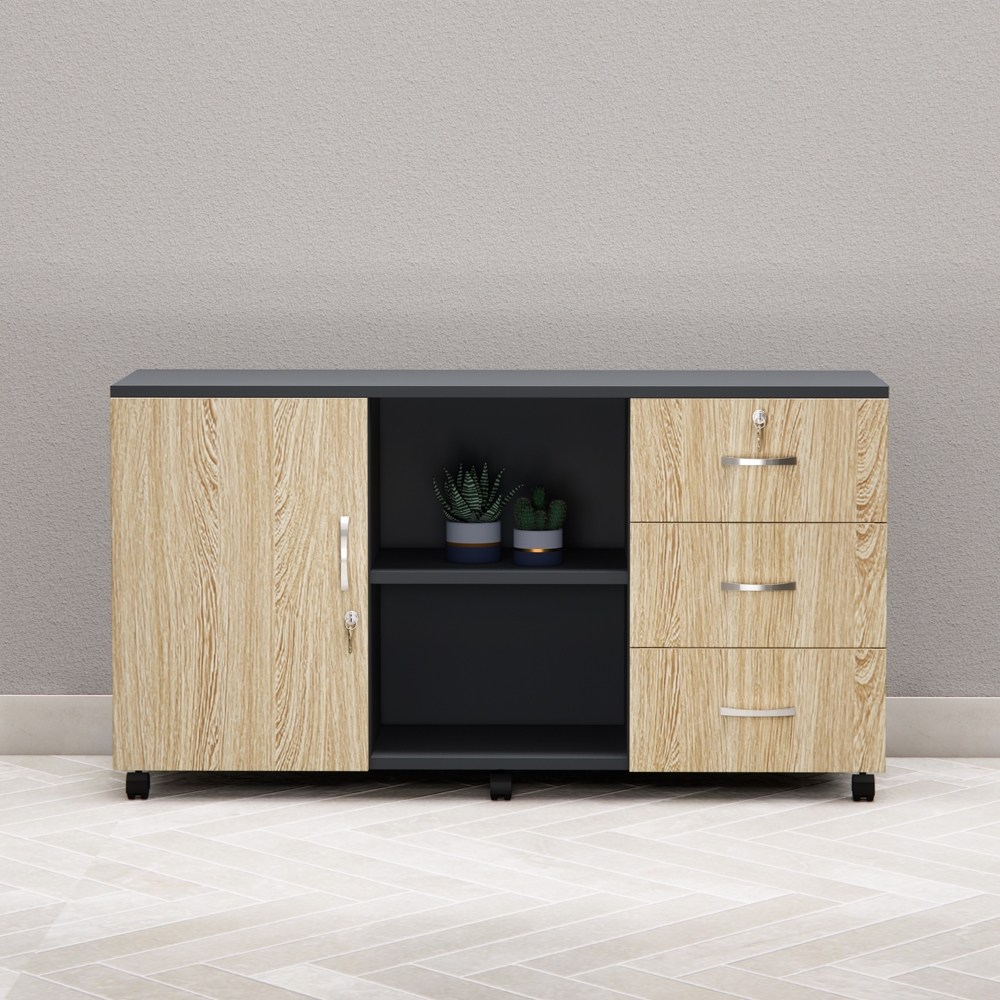 Tủ thấp văn phòng TT50
