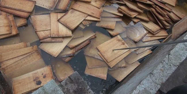Ngâm Gỗ Trong Nước để Diệt Gỗ