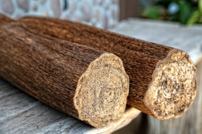 gỗ trầm hương