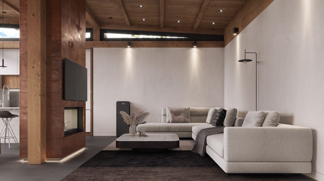 Sàn, trần nhà thô