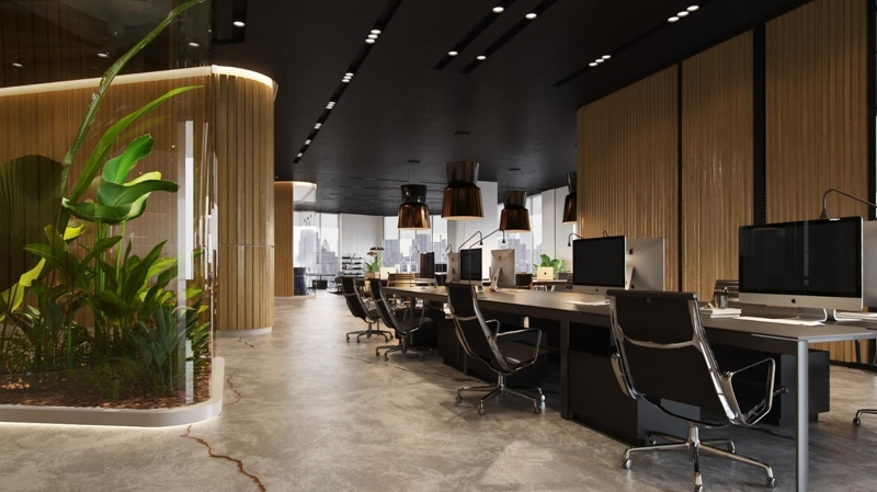 Tạo Dựng Môi Trường Làm Việc Đẹp và Sáng Tạo