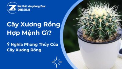 cây xương rồng hợp mệnh gì