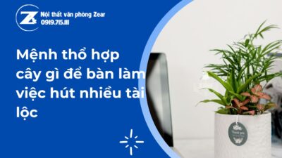 mệnh thổ hợp với cây gì