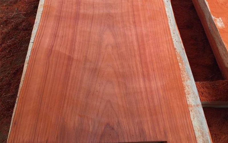 Gỗ hương đỏ Việt Nam