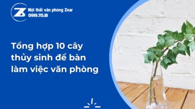 cây thủy sinh để bàn