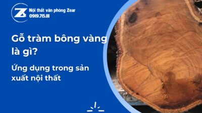 gỗ tràm bông vàng là gì