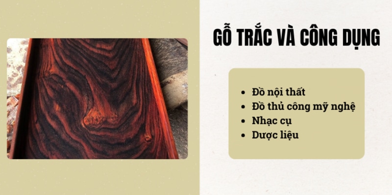 Công dụng của gỗ trắc