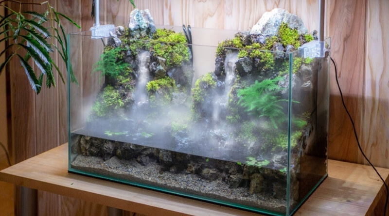 Aquaterrarium
