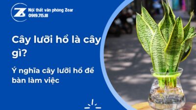 cây lưỡi hổ