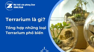 terrarium là gì