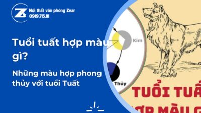 tuổi tuất hợp màu gì