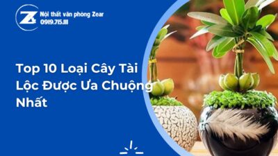 cây tài lộc