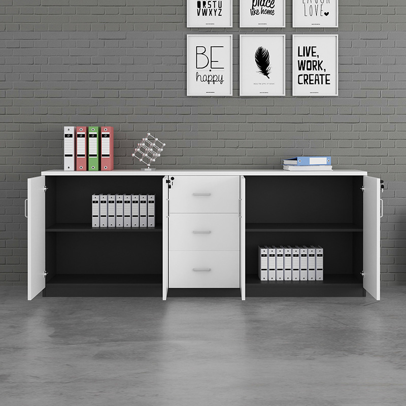 Tủ tài liệu thấp TL05T-2
