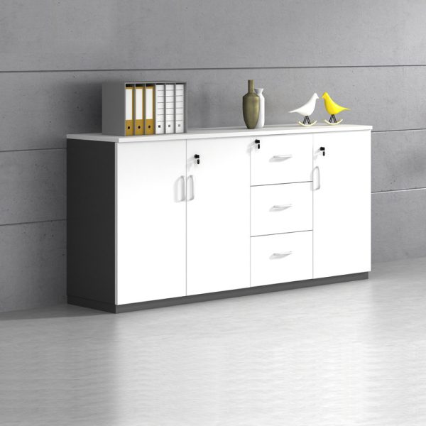 Tủ hồ sơ thấp TLT12