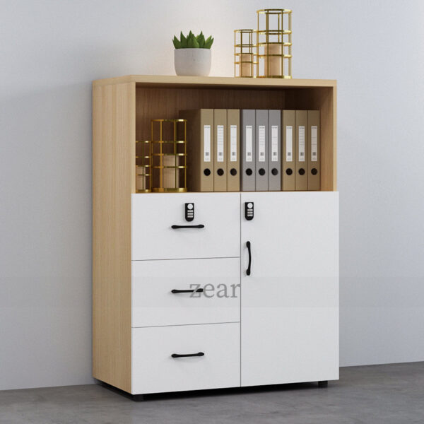 Tủ hồ sơ thấp TLT09