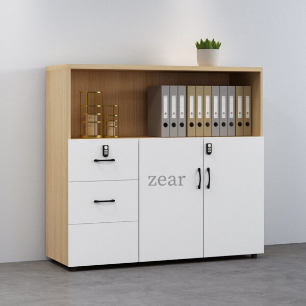 Tủ hồ sơ thấp TLT10