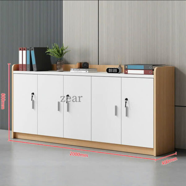 Tủ hồ sơ thấp TLT21