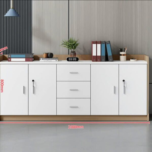 Tủ hồ sơ thấp TLT23