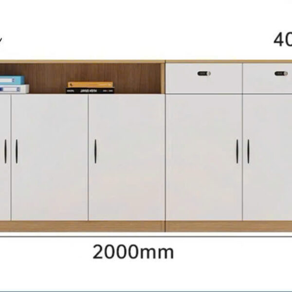 Tủ hồ sơ thấp TLT31